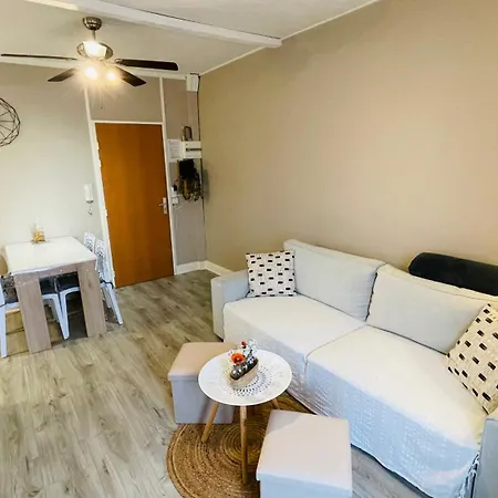 公寓 Appartementt2 A 200m Des Thermes 索容